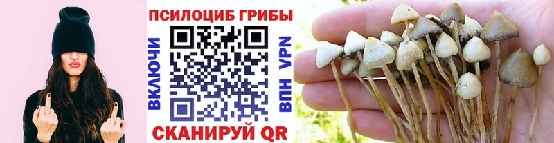 Псилоцибиновые грибы Magic Shrooms  Поронайск 